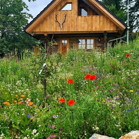 Villa Blockhaus Panhuette à Braunlage Extérieur photo
