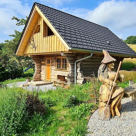 Villa Blockhaus Panhuette à Braunlage Extérieur photo