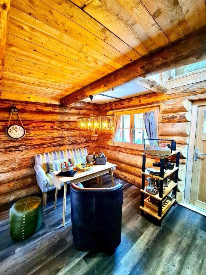 Villa Blockhaus Panhuette à Braunlage Extérieur photo