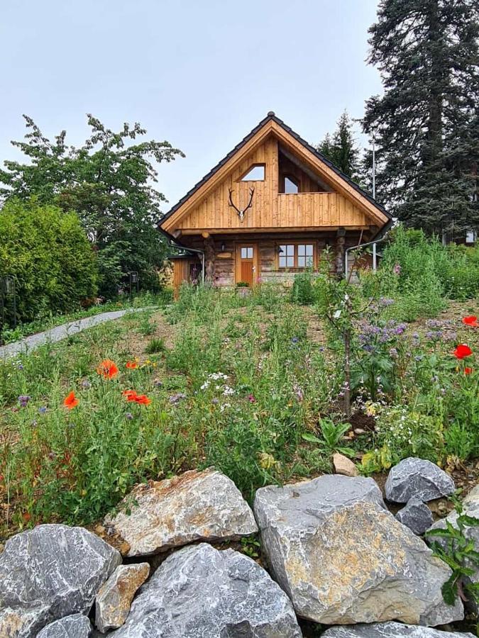 Villa Blockhaus Panhuette à Braunlage Extérieur photo