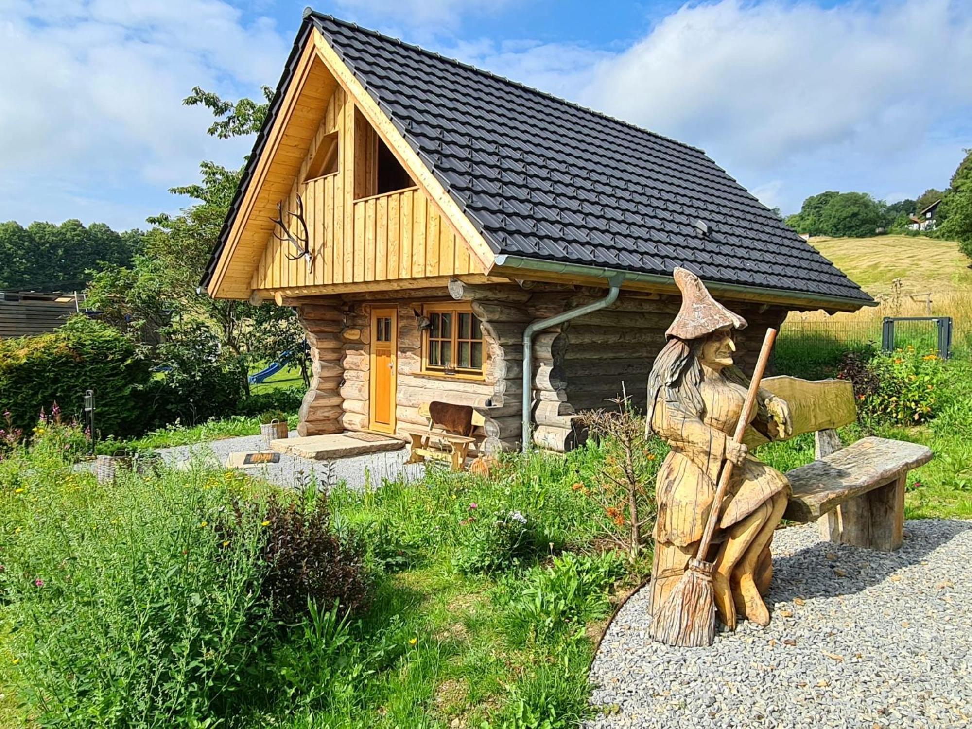Villa Blockhaus Panhuette à Braunlage Extérieur photo